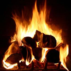 Tamar Valley Coal and Logs 
