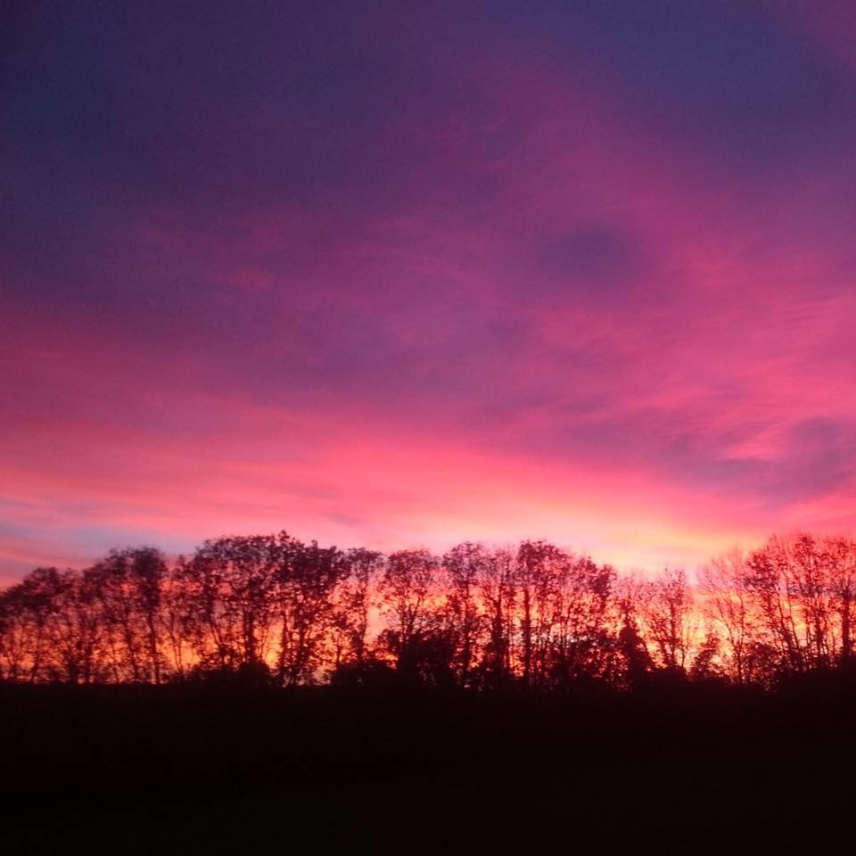 Beautiful off grid camp site stunning views and starry nights , close to the moors as well as the sea